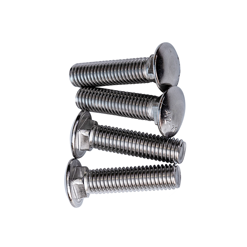 SS304 GB12-76 M12 Cup Head Firkantede Hals Bolte