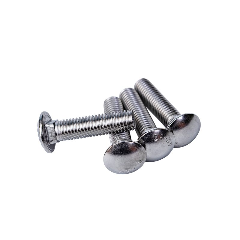 SS304 DIN603 M8 Cup Head Firkantede Hals Bolte